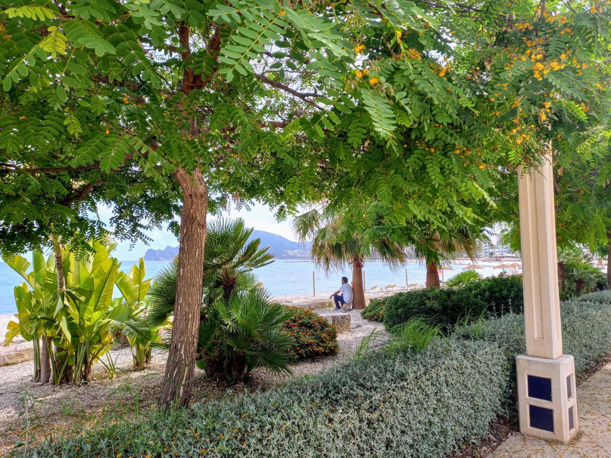 Townhouse Los Olivos M ألتيا المظهر الخارجي الصورة
